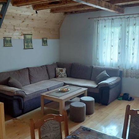 Vila Daniela Zaovine Exteriér fotografie